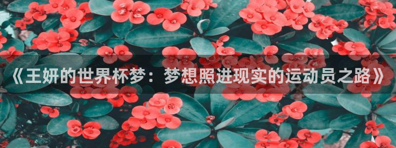 2026年世界杯：《王妍的世界杯梦：梦想照进现实的运动员之路》