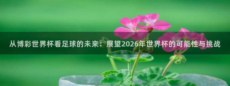 今年的世界杯：从博彩世界杯看足球的未来：展望2026年世界杯的可能性与挑战