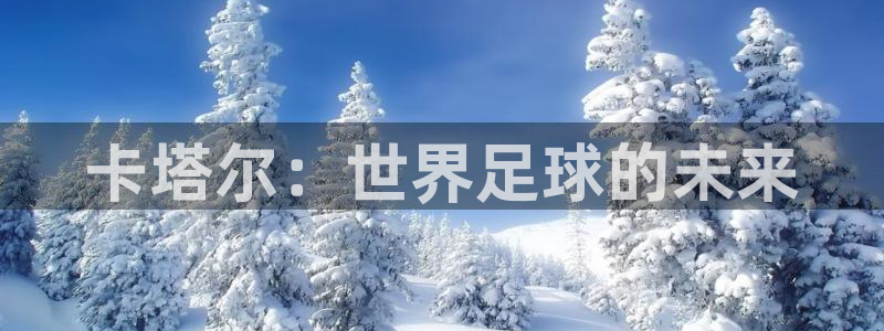 2026世界杯亚洲区预选赛赛程：卡塔尔：世界足球的未来