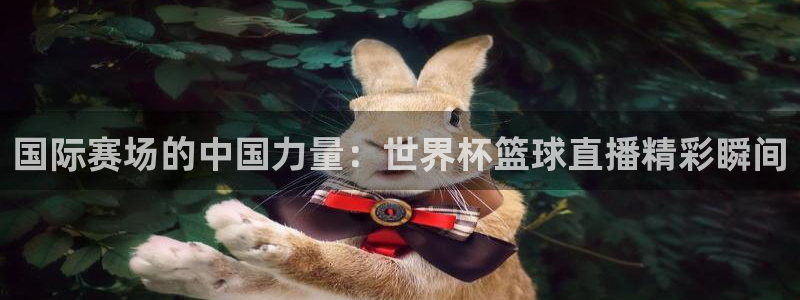 世界杯球队：国际赛场的中国力量：世界杯篮球直播精彩瞬间