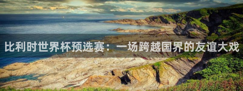 世界杯对阵图2026：比利时世界杯预选赛：一场跨越国界的友谊大戏
