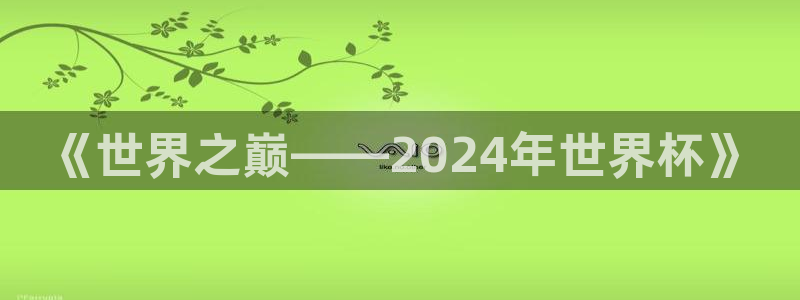 2026足球世界杯：《世界之巅——2024年世界杯》