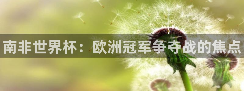 世预赛免费直播入口：南非世界杯：欧洲冠军争夺战的焦点
