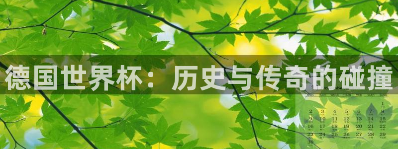 法国杯2026赛程表：德国世界杯：历史与传奇的碰撞
