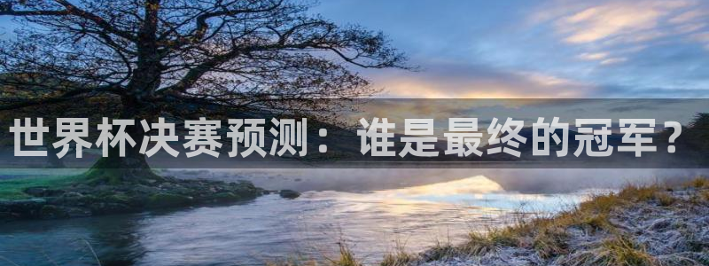 美洲杯直播：世界杯决赛预测：谁是最终的冠军？